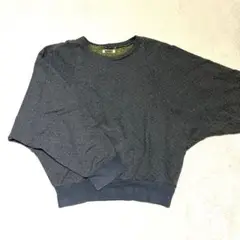 Item thumbnail for item fcc4992c-3f3b-439a-9029-e9f5917955f3