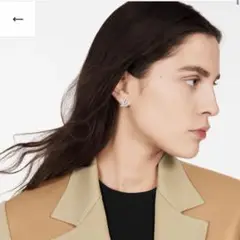 ブックル ドレイユ・LV アイコニック ストラス シルバー