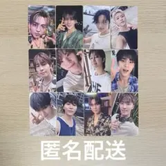 spill the feels 東京公演 weverseセミコンプリート