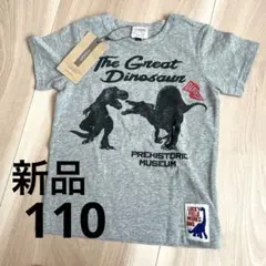 《新品》FOインターナショナル　Tシャツ　恐竜　ダイナソー　110