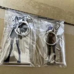 アノーミューテーショネム コンプリートエディション　特典　アクリルかキーホルダー