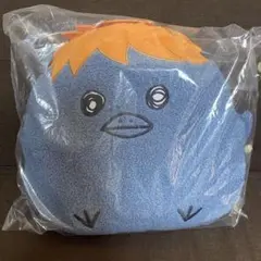 ハイキュー‼︎ 一番くじ C賞 ヒナガラス