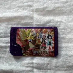 ポケモンフレンダ　六英雄　ウガツホムラ