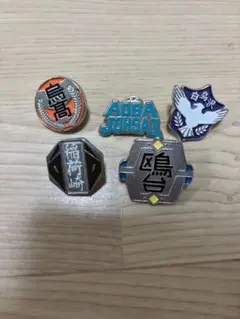 ハイキュー 高校モチーフピンバッジ
