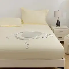 Item thumbnail for item 17f877a1-1611-438c-8e50-94b546d94227