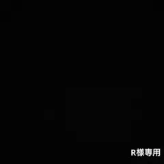 ミズノ JPX E300 レディース 5番 ロングアイアン ゴルフクラブ 初心者