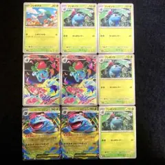 匿名配送　ポケモンカード　メガフシギバナex フシギソウ　フシギダネ