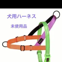 Item thumbnail for item 03676545-f628-4fb8-95f6-06f78e5dd42e