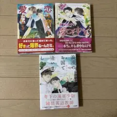 木下けい子 恋は育って愛になる 他2冊 BL
