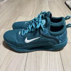 ナイキ　アルカラス　2025 全仏　上下セット　US: M フェデラー　ナダル ナイキ アルカラス 2025 全仏 上下セット US: M フェデラー