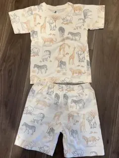 セットアップ　サファリ　子供服　動物　サイ　キリン　しまうま　チーター　ゾウ