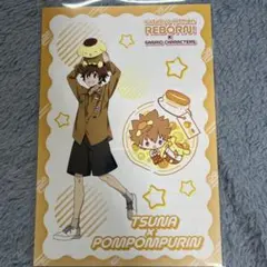リボーン サンリオ 特典 ポストカード ツナ