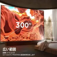 Excelの細かな数値も見やすい❣映画鑑賞もプレゼンも大活躍❤プロジェクター