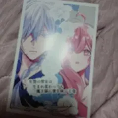 生贄の聖女は生まれ変わっても魔王様に愛を捧ぐ/特典のみ