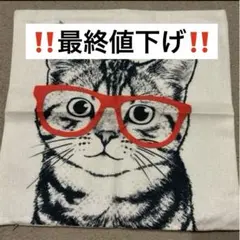 【‼️本日限定‼️】45×45 インテリア　かわいい　クッション　カバー 猫　メガネ