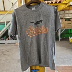 CUB Tシャツ Lサイズ グレー