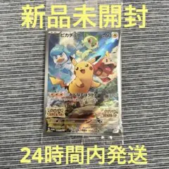 ポケモンカード　未開封　ピカチュウ　 プロモ　みんなでぼうけん