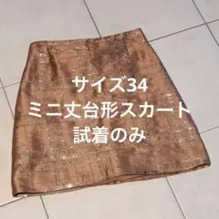 マヌーシュ　ミニスカート