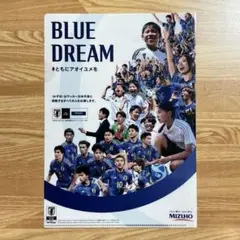 【レア】MIZUHO BLUE DREAM MATCH 入場特典 クリアファイル