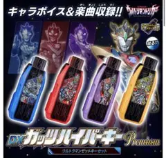 DXガッツハイパーキー Premium セット