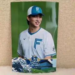 北海道日本ハムファイターズ　ハイライトフォト　達孝太　2025/08/23