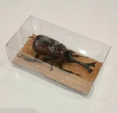 Item thumbnail for item 19d84c4d-e2a2-4951-a42b-552b9868da9a