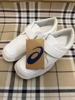 Item thumbnail for item 9d905b94-34e0-4c5b-ba19-af1ccd796874