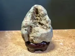 超希少　超特大　揖斐石　龍眼石　竜眼　龍岩　竜岩　付け石　景石　水石　盆栽鉢 超希少 超特大 揖斐石 龍眼石 竜眼 龍岩 竜岩 付け石 景石