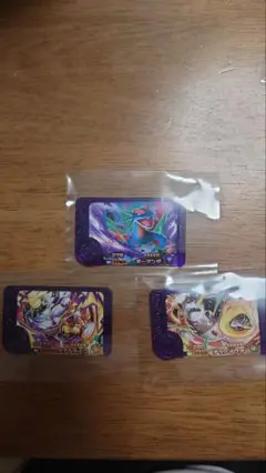 ポケモン　フレンダ　ボーマンダ　タケルライコ　テツノイワオ