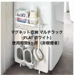 Item thumbnail for item 7d110217-d538-45d8-a5a6-cdb30a999774