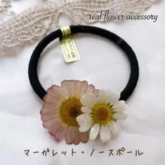 マーガレット・ノースポール ヘアゴム