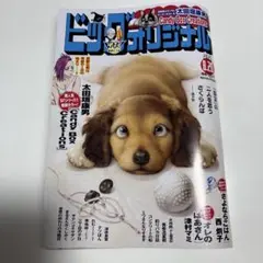ビッグオリジナル 8/20号