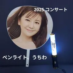 南野陽子 40周年コンサート ペンライト・うちわセット