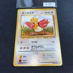 9⑧オニスズメ