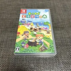 Switch あつまれ どうぶつの森