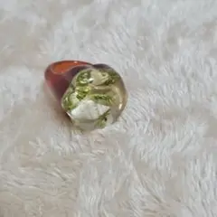 赤色 海 植物 指輪 リング クリア