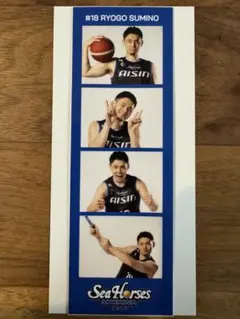 シーホース三河 2024-25 ランダムフォトシール #18 角野亮伍