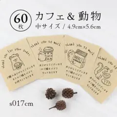 s017cm カフェ＆動物 サンキューカード（中）60枚