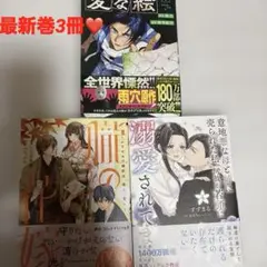 最新巻3冊❤️意地悪な母と姉に売られた私。 何故か若頭に溺愛されてます 4