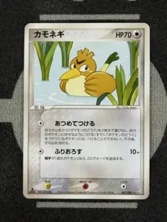 【まとめ買い推奨】カモネギ