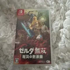 ゼルダ無双 厄災の黙示録 Nintendo Switch