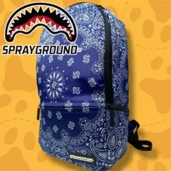 幻の！SPRAYGROUND バックパック 総ペイズリー柄