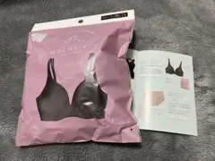 MOCHI-FIT もちフィットブラジャー　L 消炭色