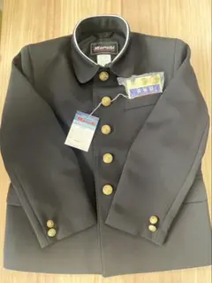 Item thumbnail for item 29de78a8-3a3d-4105-8c47-403f310efe6a