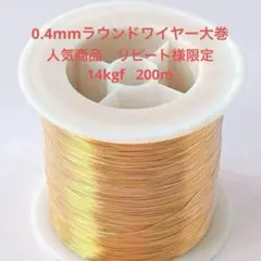 Item thumbnail for item e2da3ede-6734-4dfc-a9a2-36518bbc289e