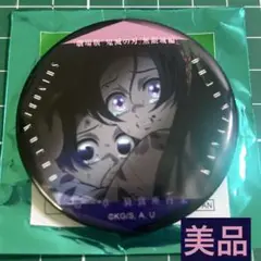 胡蝶姉妹 胡蝶しのぶ胡蝶カナエ ものがたる眼差しコレクションB