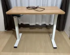 [美品]FlexiSpot 天板・ケーブルカゴ付き昇降デスク