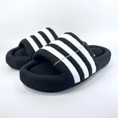 Item thumbnail for item 0fe054a4-4095-459f-b861-2a4146e49c78