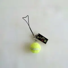 Item thumbnail for item 8dca73cc-934d-4f37-b2e3-b815183054bd