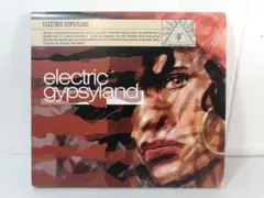ジプシー x クラブ Electric Gypsyland - VA